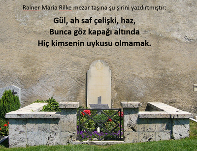 GE��C�L�K �ZER�NE, S. Freud